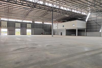 Warehouse with Backup Generator in Eastern ByPass