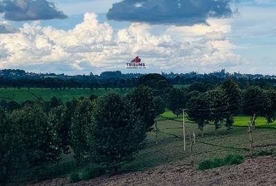 40 ac Land in Limuru - 3