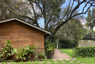 Furnished Commercial Property with Parking at Muringa Groove - 3