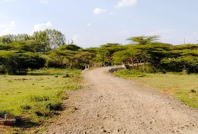 0.25 ac Residential Land at Maasai Lodge Road