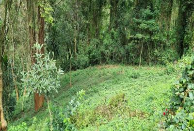 0.5 m² Land at Kitisuru Road - 3