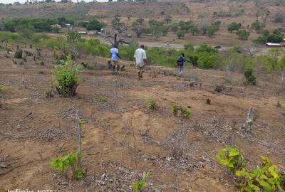 5,000 ft² Land at Malindi -Lamu Highway