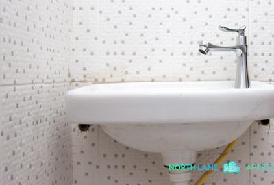 1 Bed Apartment with Parking at Ruiru