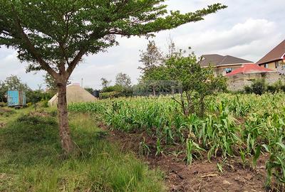 1 ac Land in Ruiru