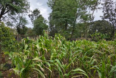Residential Land in Karen - 3