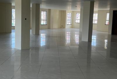 4,000 ft² Commercial Property with Backup Generator in Pangani - 2