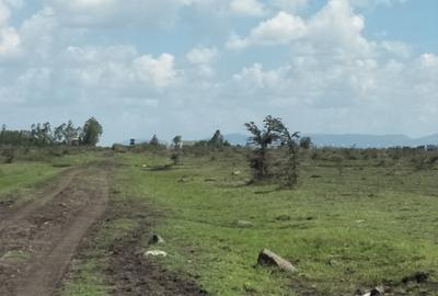 474 ac Land at Kamakis Mwalimu Farm - 4