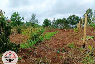 500 m² Residential Land at Migumoini - 3