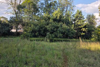 Residential Land in Karen