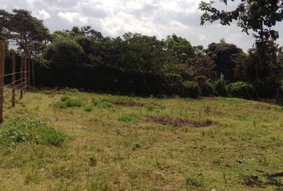 0.08 ha Land at Lemiso Road - 2