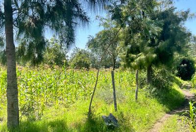 Land at Kandisi - 2