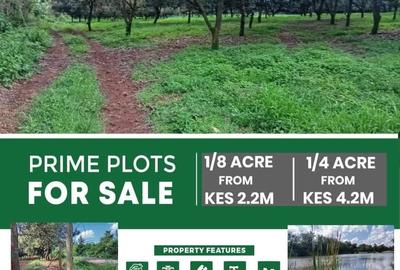 0.25 ac Residential Land at Juja Gatundu Road