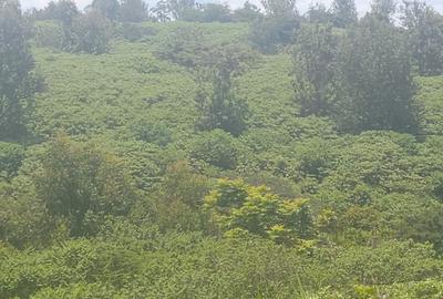 Land at Toll Thika Road - 3