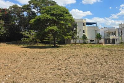 0.25 ac Land at Kamakis - 3