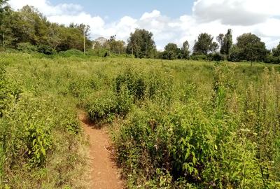 5 ac Land at Rhino Park Road - 3