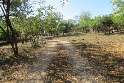 Land at Diani