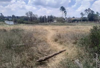 0.5 ac Land at Kerarapon Drive - 3