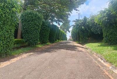 0.5 ac Land in Runda