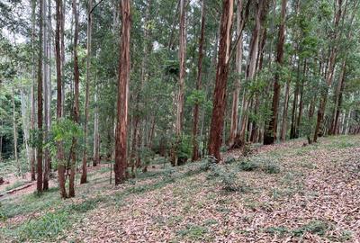 Residential Land at Nyari Estate