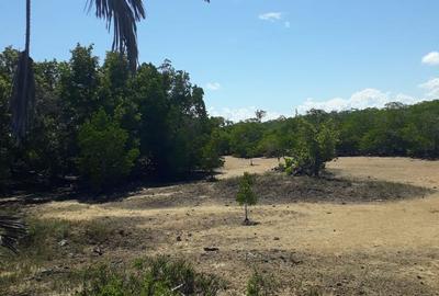 56,658 m² Commercial Land at Funzi Island