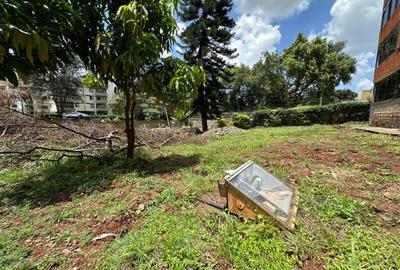 0.4 ac Commercial Property with Service Charge Included at Milimani - 3