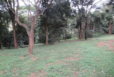 4 ac Land at Mushroom Gardens