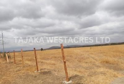 36 ac Land at Joska