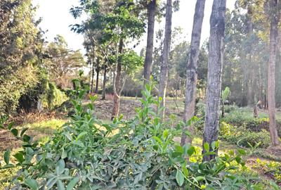 0.3 ac Land at Kabiria - 2