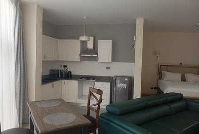 Furnished Studio Apartment with Swimming Pool at Muthangari Road Westlands Nairobi - 2