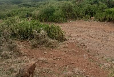 5 ac Land at Meru Isiolo High Way - 3