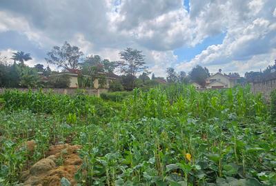 Residential Land in Runda - 4
