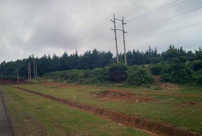 0.125 ac Commercial Land at Southern Bypass