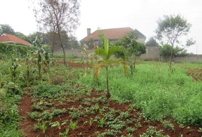 Land at Off Pan African Insurance Avenue