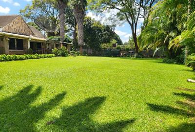 4 Bed House with En Suite in Spring Valley - 4