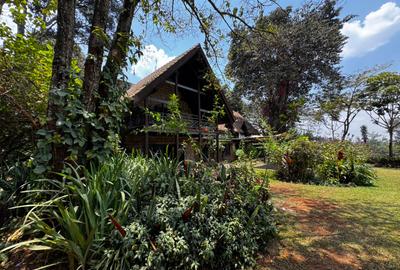 4 Bed House with En Suite in Nyari - 4