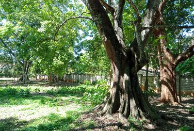 Land in Thigiri