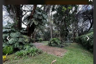 0.75 ac Land in Riara Road - 2