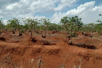 0.5 ac Residential Land at Runda Mumwe - 4