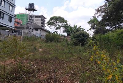 Commercial Land at Kirawa Road - 3