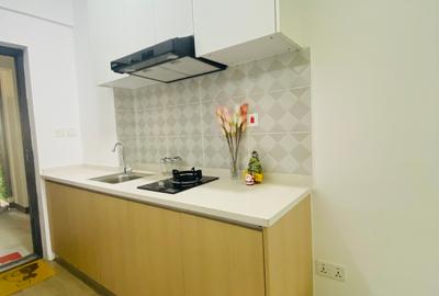 Furnished Studio Apartment with En Suite in Juja - 4