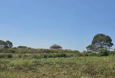 Residential Land in Runda - 3