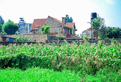 0.1 ha Commercial Land at Sigona - 4