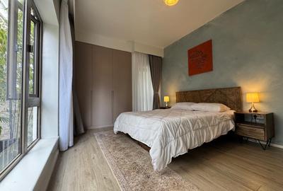 Furnished 1 Bed Apartment with En Suite in Nyari - 4