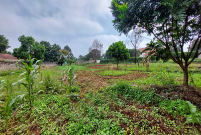 Residential Land at Pan African Insurance Avenue