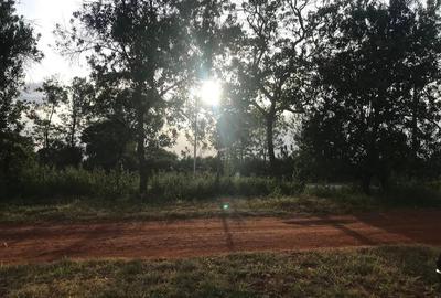 10,000 ft² Land at Phase 1 - 3