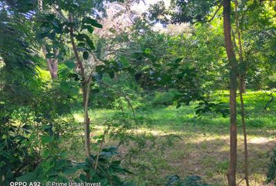 Land at Aloo Drive Mtwapa Creek - 3