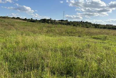 Land in Juja - 4
