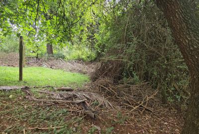 Residential Land in Kitisuru - 3