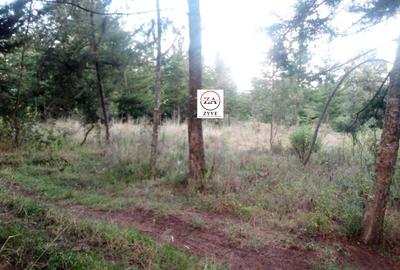 6 ac Land at Mukima Ridge - 2