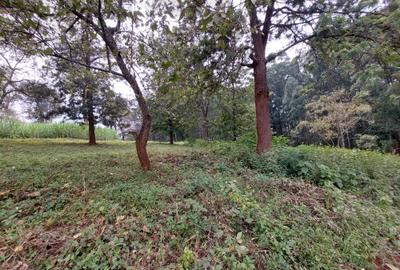Residential Land at Ruaka Road - 4